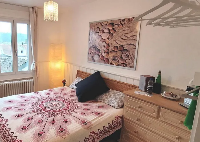 1 Zimmer Zentral Ruhig Mit Flair Im Gertrud Schloessli 3Z1